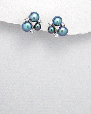 Sterling Silver Earrings